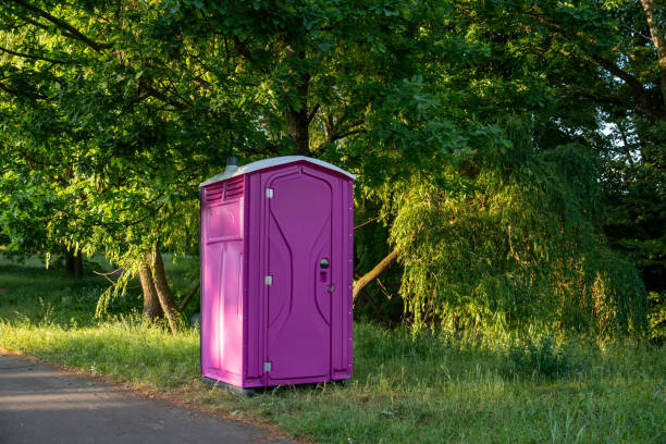 Portable Toilet Options We Offer in De Soto, MO